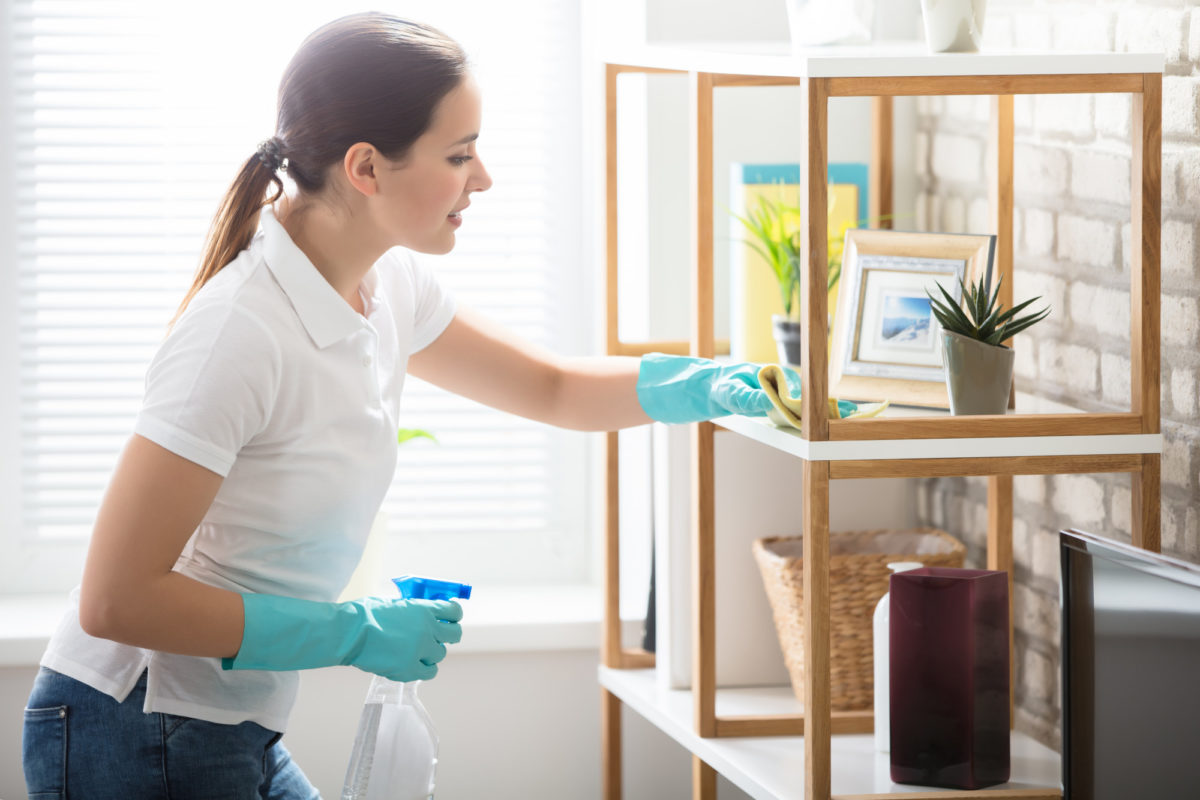 House Cleaning Services